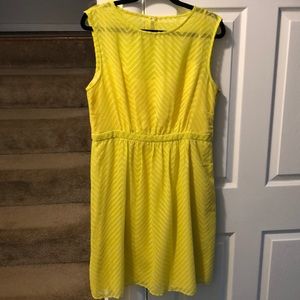Sheer overlay dress chartreuse